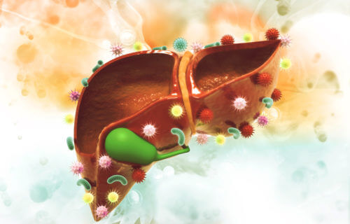 Virus and bacteria on liver