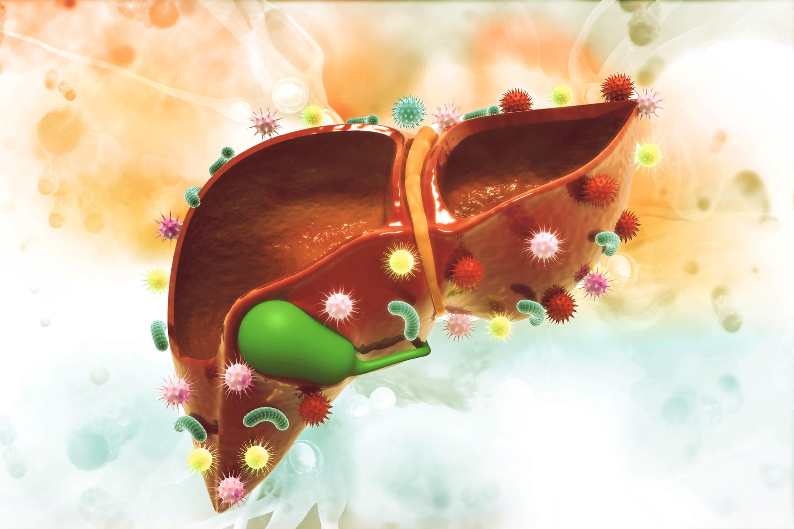 Virus and bacteria on liver