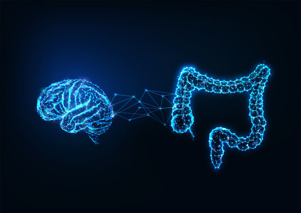 Gut and Brain connection