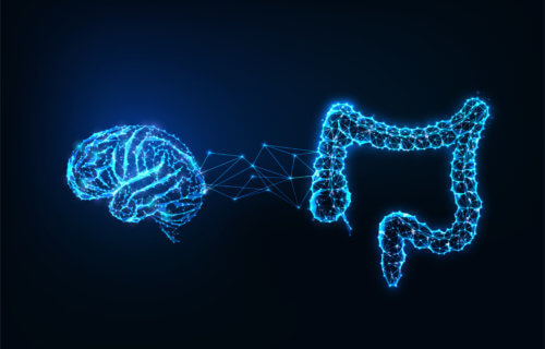 Gut and Brain connection