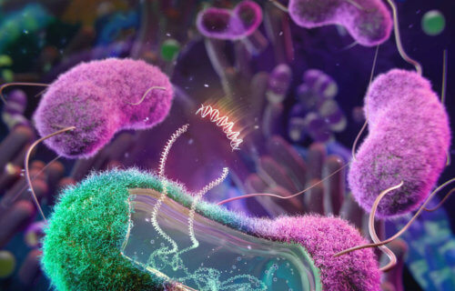 E. coli computerized image