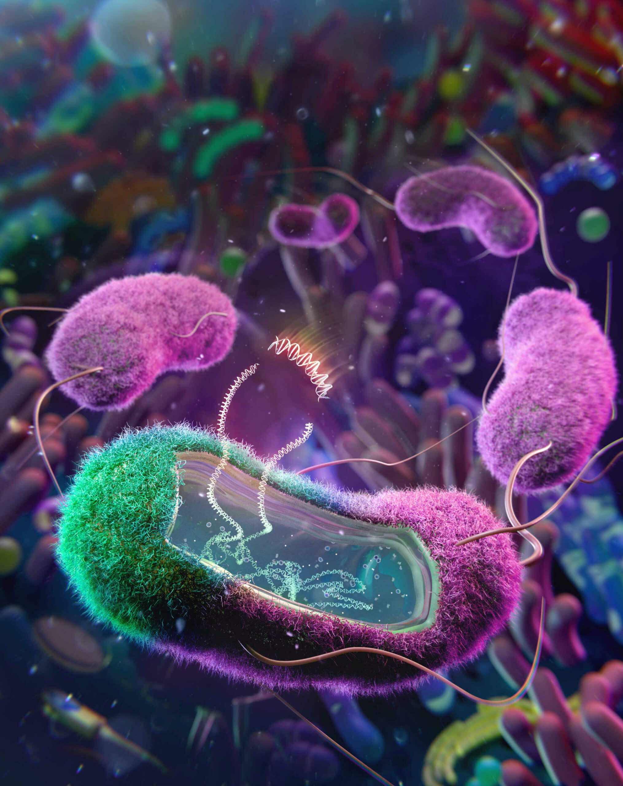 E. coli computerized image