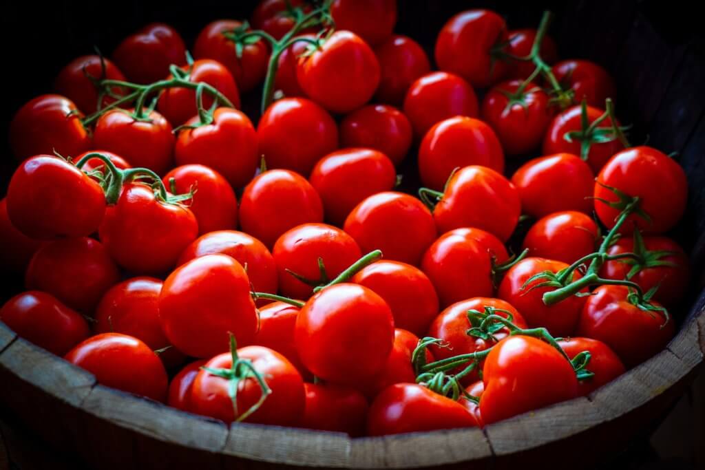 Pour on the ketchup – tomatoes may help balance your gut microbiome